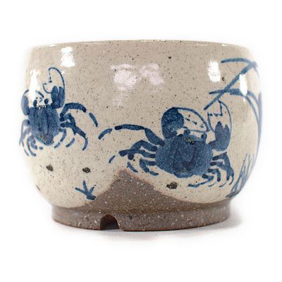 【信楽焼】【植木鉢】粉引絵付（カニ） 4号鉢【盆栽鉢 ミニ盆栽 陶器 植え替え 鉢 おしゃれ かわいい 園芸職人12cm】