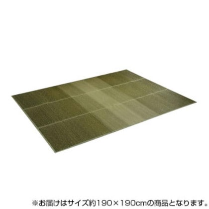 KOBA-GUARD 制菌 抗菌防臭 消臭 い草ラグカーペット 滑り止め加工 約190×190cm グリーン 8480420