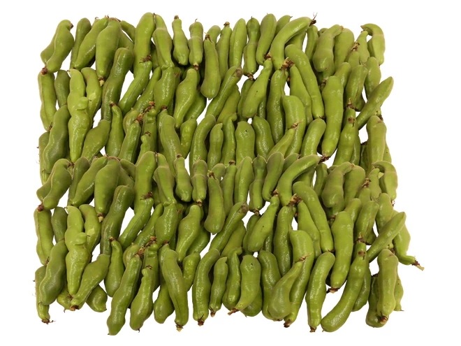 九州/和歌山産他 =一寸豆（そら豆）= 約4kg 大きさおまかせ 予約 1月以降