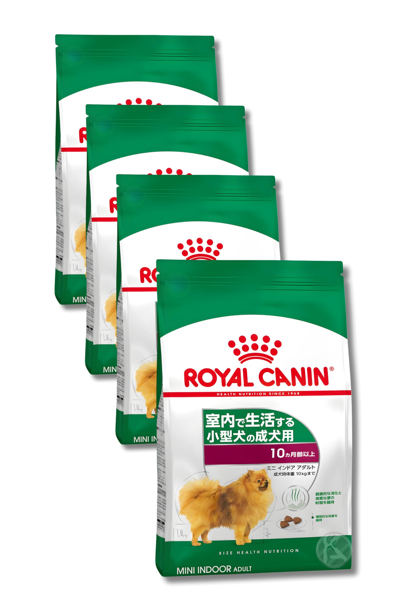 ロイヤルカナン SHN ミニ インドア アダルト 【800g 4個セット】 室内 で 生活 する 小型犬 成犬 専用フード ドライ 消化 健康 サポート オリジナルロゴ