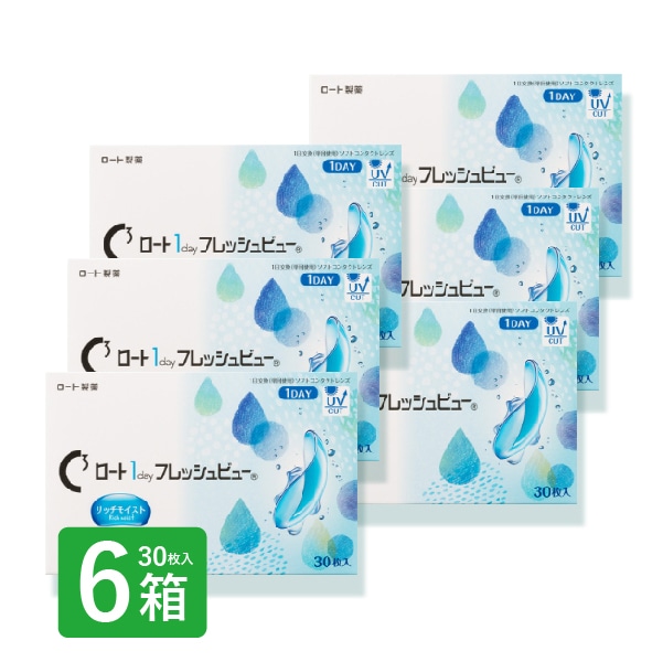 ロートワンデー フレッシュビュー リッチモイスト 6箱 30枚入りワンデー 1day コンタクトレンズ クリア ロート 高含水 1日使い捨て