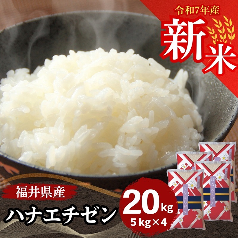 【数量限定】新米 福井県産ハナエチゼン20kg(5kg4袋)　白米 令和7年産