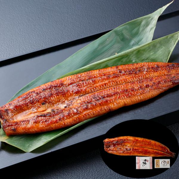 うなぎ問屋の大五蒲焼 一人前 SISK