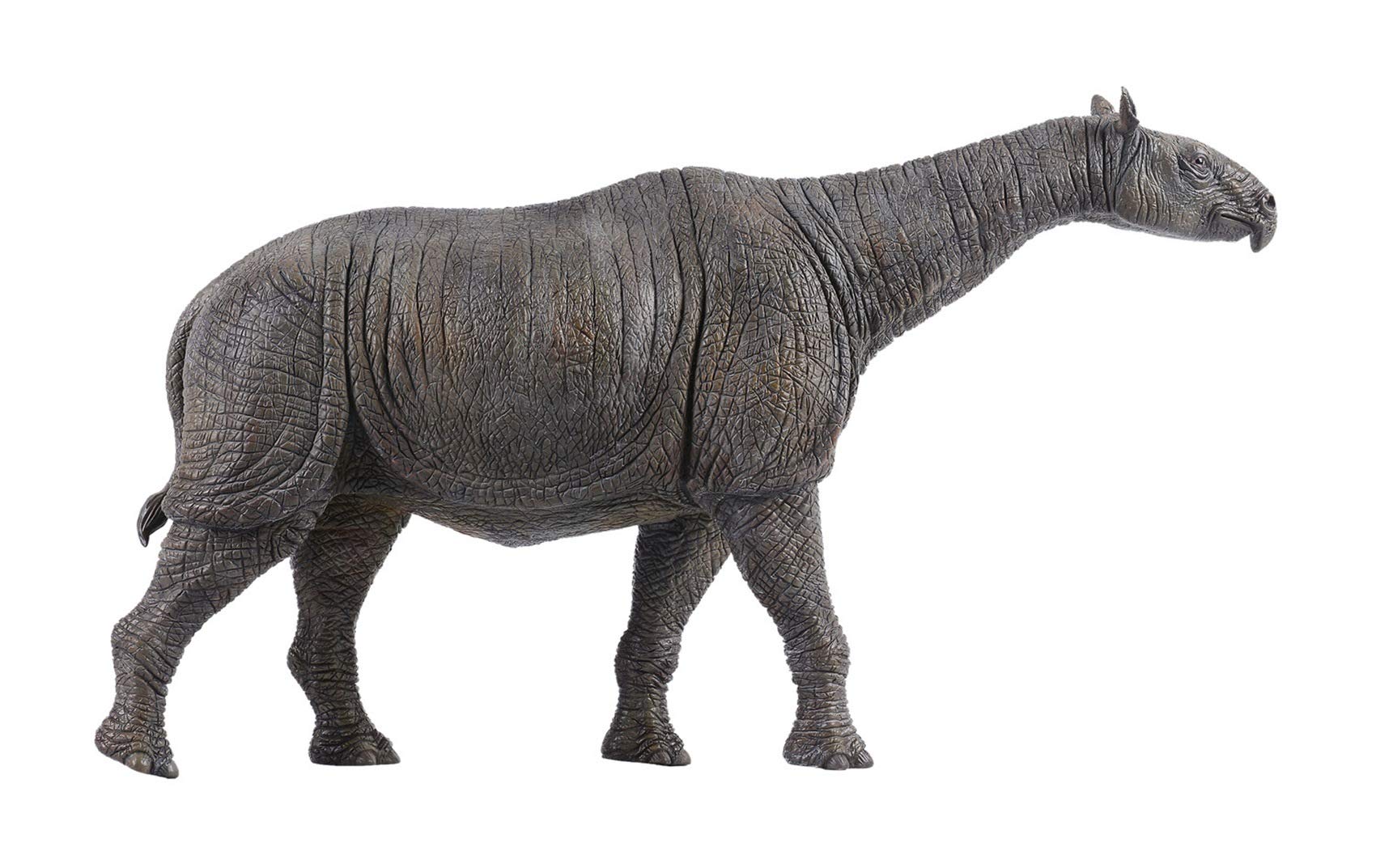 ITOY 1/35 サイズ パラケラテリウム サイ 哺乳類 絶滅 動物 リアル フィギュア PVC プラモデル スタチュー おもちゃ 科学 芸術 模型 プレゼントプレミアム 38cm級
