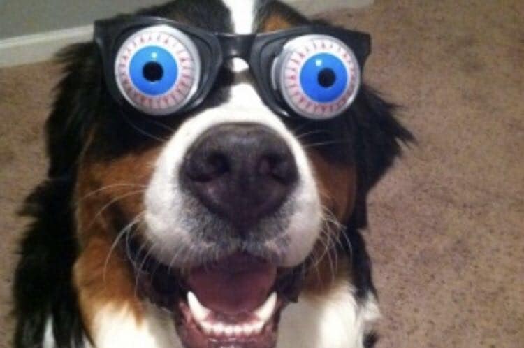 1류의약품테스트