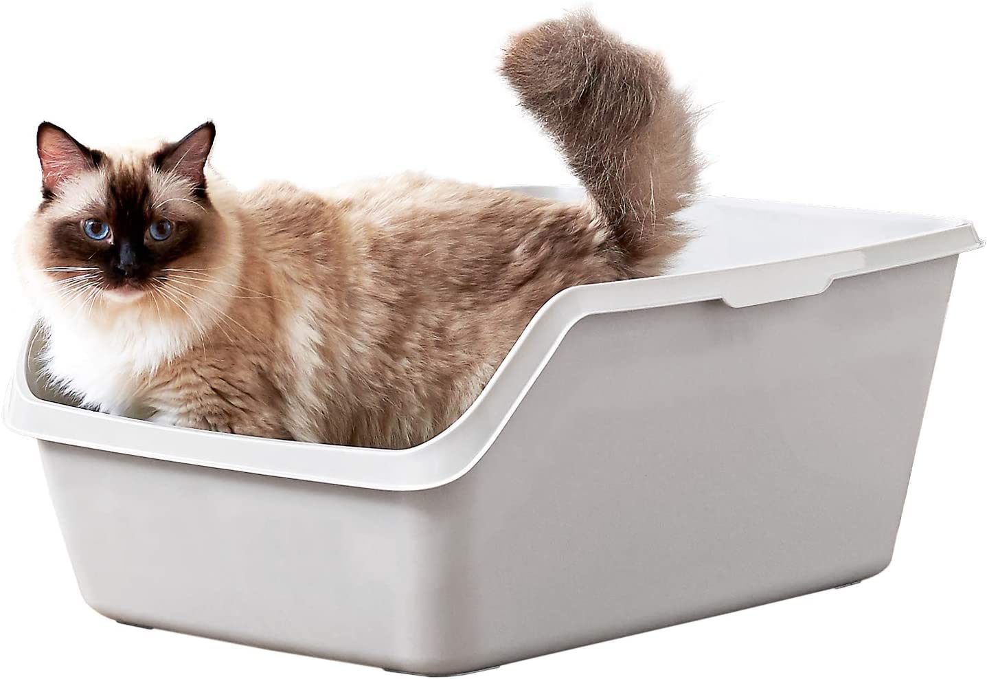 送料無料 【OFT】 HY CAT ジャンボ 猫トイレ 大型 本体 飛び散り防止 幅34cm×奥行50cm ハイキャット 大きい 一体成形 入口低め（グレー）