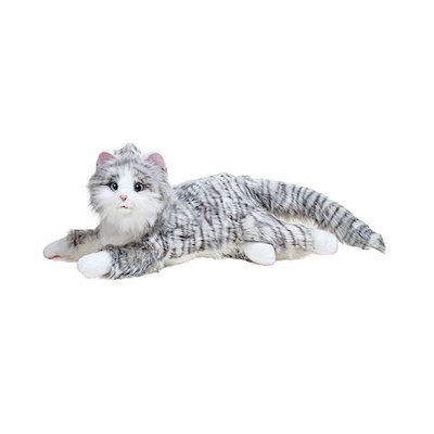 学園便利屋シリーズ アンティークハートDVD