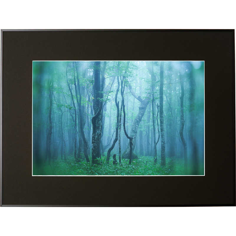 ケンコー　ギャラリー A3ノビ ブラック　AGY-A3N-BK