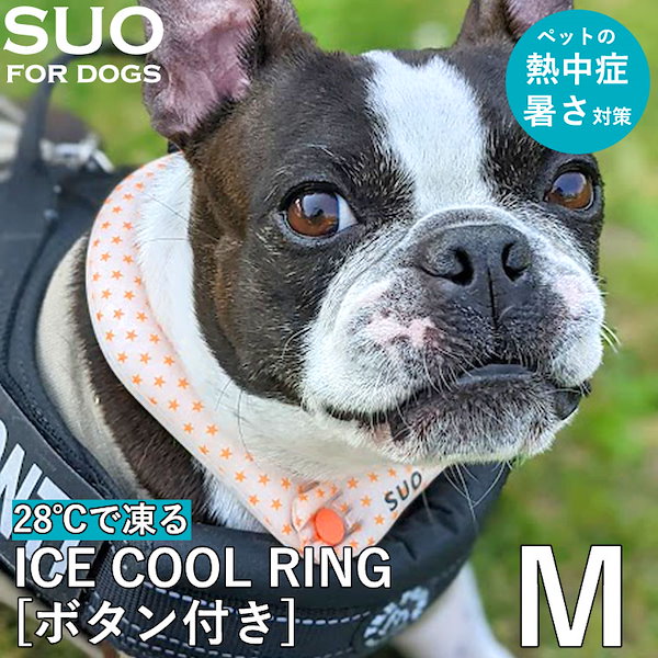 Qoo10] 【正規販売店】SUO クールリング fo