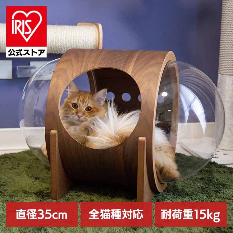 【人気商品】キャットウォーク キャットステップ 猫用品 ペット用品 猫家具 猫ベッド 壁掛け ペット共生 猫部屋宇宙船ALPHA(ウォールナット) MZ0079
