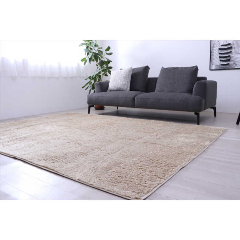 イケヒコ　洗える制菌シャギーラグ ルフォン (約185×185cm/ベージュ)