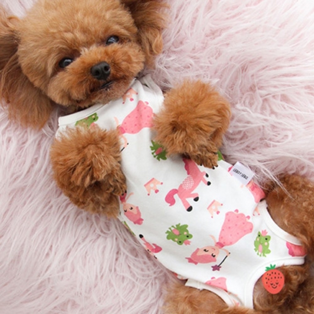 ケリーペット動物中性化手術服