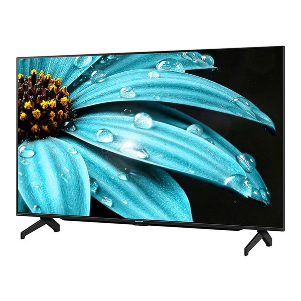 4T-C50EJ1 AQUOS 4K EJ1ライン 50型 地上・BS・CSデジタル 4K内蔵 液晶テレビ