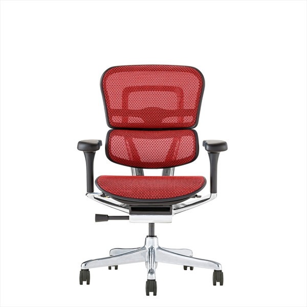 Ergohuman EHP2-LAM-BF-RD ブラックフレームレッドメッシュ PRO2 Low Type [ロータイプ 高機能オフィスチェア] メーカー直送