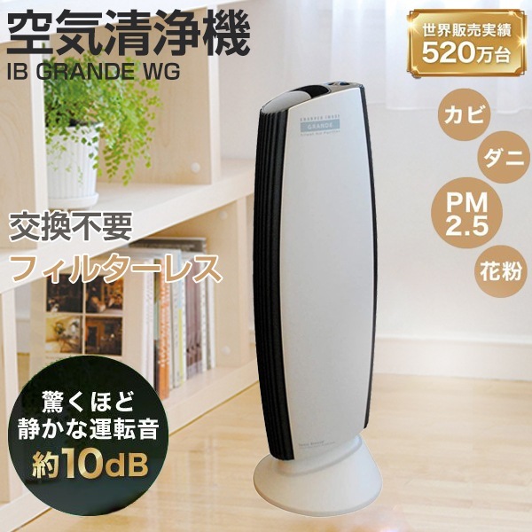 IB GRANDE WG ホワイトグレー Ionic Breeze [イオン式空気清浄機( 40畳)]