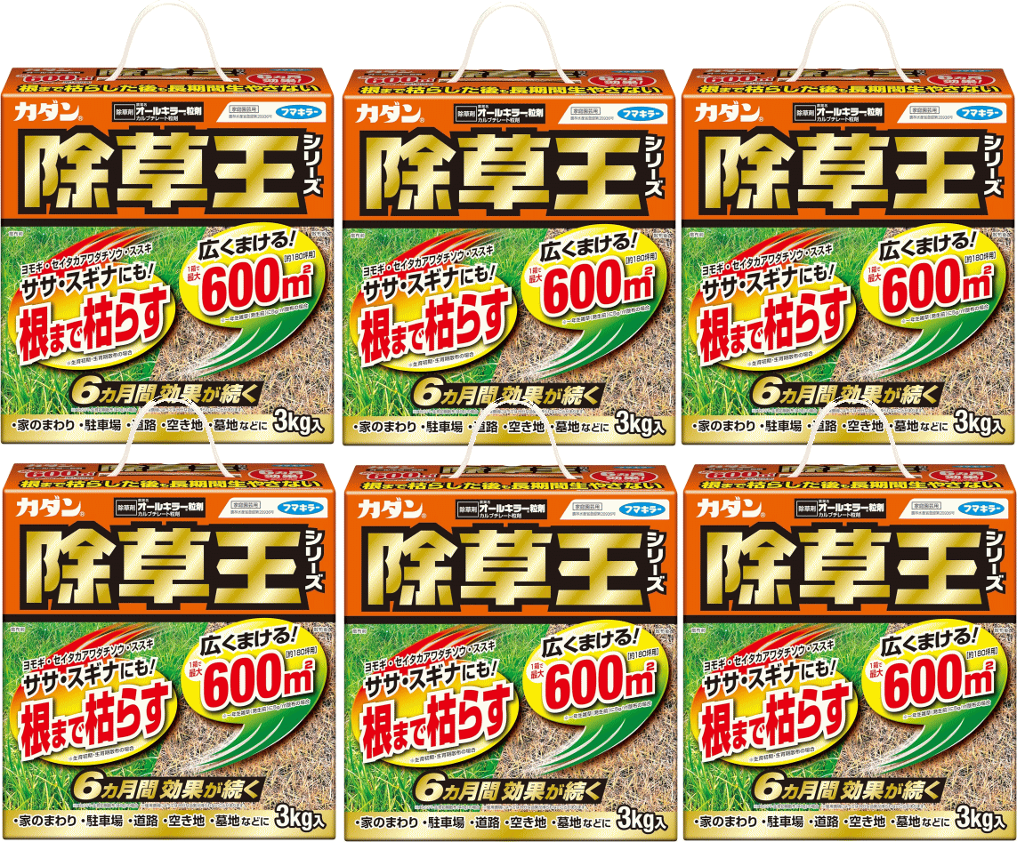 【フマキラー】　カダン　除草王　オールキラー粒剤　3kg　6個