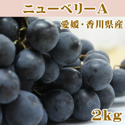 愛媛県香川県産 ニューベリーA 2kgチルド送料無料(一部地域を除く)