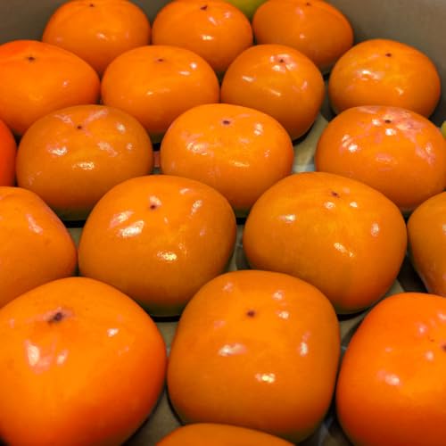 柿　富有柿 秀品 約2.5kg 5kg 秋 柿 産地直送 奈良 西吉野 茨城　ご家庭用 柿 カキ かき ご自宅用 果物 くだもの フルーツ 敬老の日 ギフト プ