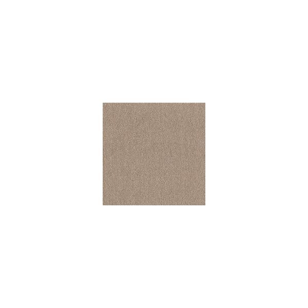 【1ケース】【お取り寄せ対象品】ウィズペットフロア WPF03(40×40cm) モカ[東リ] *10個