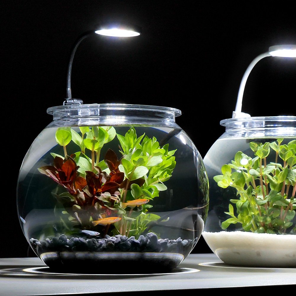 （めだか）（水草）お手軽メダカリウムセット　Ｍ　ブラック　説明書付き　本州四国限定　ＣＲＣ10―11―03―10―10