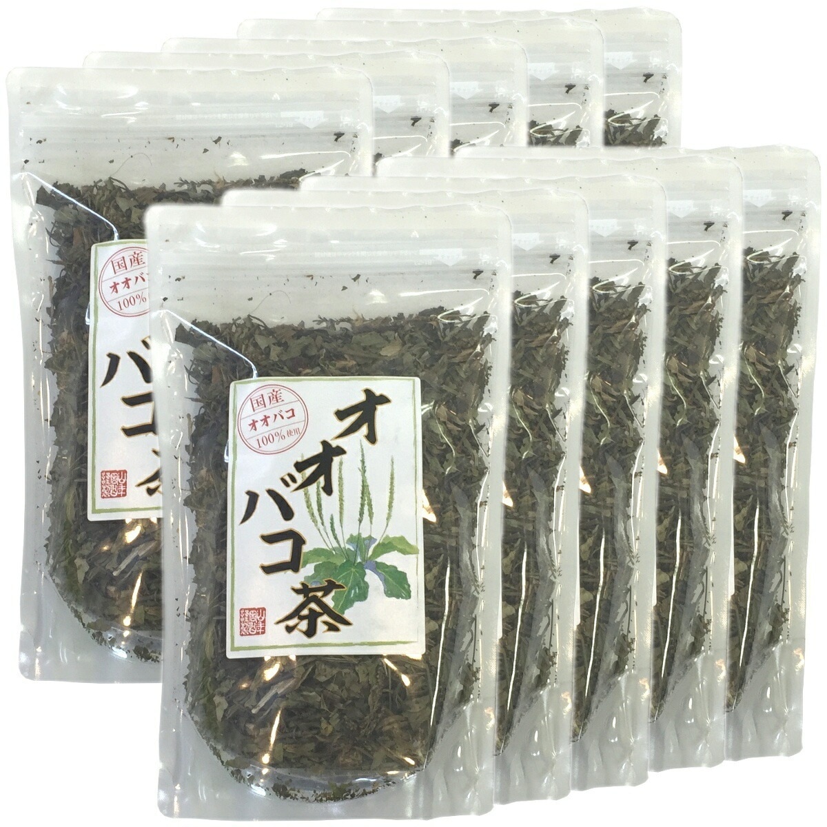 国産 100% オオバコ茶 100g10袋セット ノンカフェイン 宮崎県産 オオバコ オオバコダイエット 健康茶 妊婦 ダイエット 贈り物 ギフト プレゼント お年賀 御年賀 プチギフト お