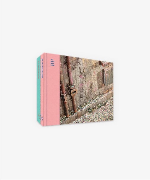 [正品] BTS - YOU NEVER WALK ALONE