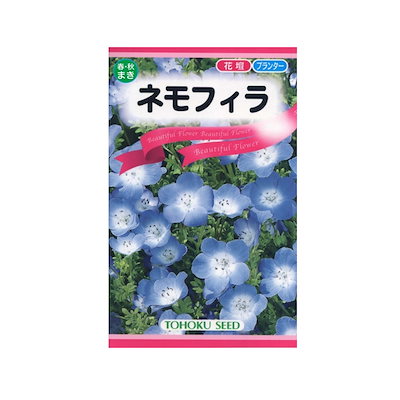 他サイト： 花種子 ネモフィラ （インシグニスブルー）の商品画像