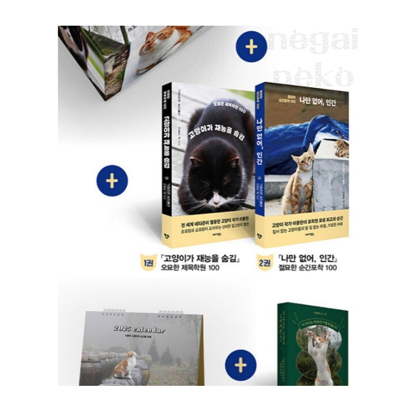 限定版5点セット [ネコボックス+本2冊+2025カレンダー+ミニブック]  『猫の瞬間たち(고양이의 순간들)』 韓国語書籍