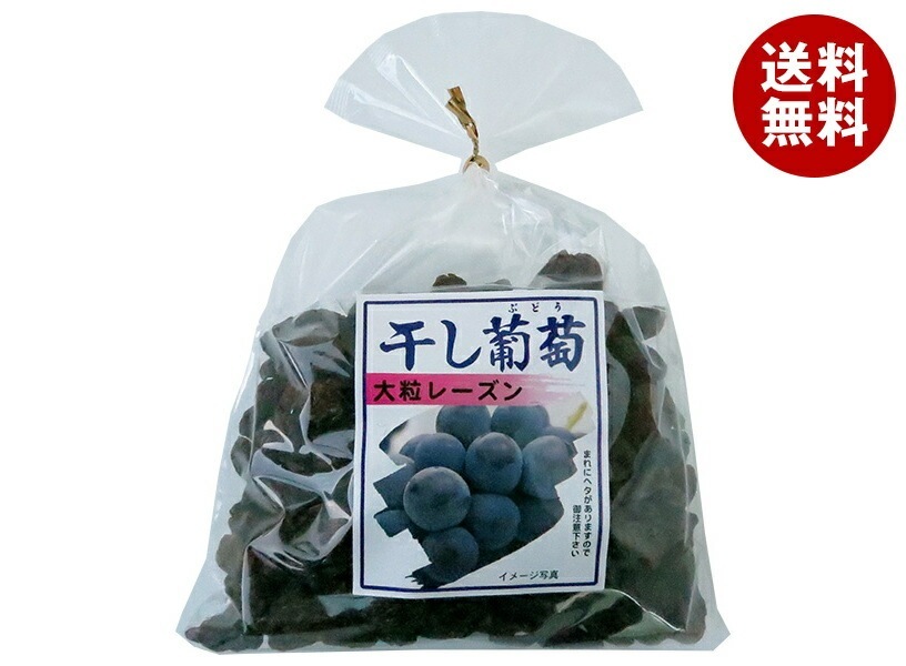 ナガトク 干し葡萄 大粒レーズン 370g×5袋入×(2ケース)