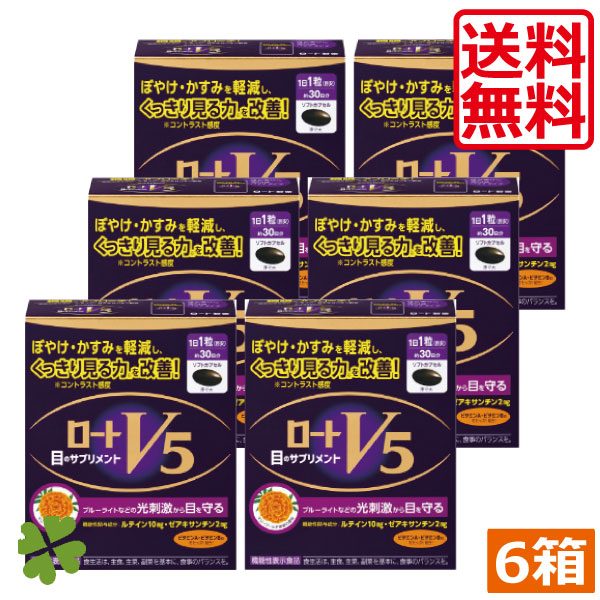 ロートV5粒 30粒 ロート製薬 6箱 機能性表示食品 目のサプリメント