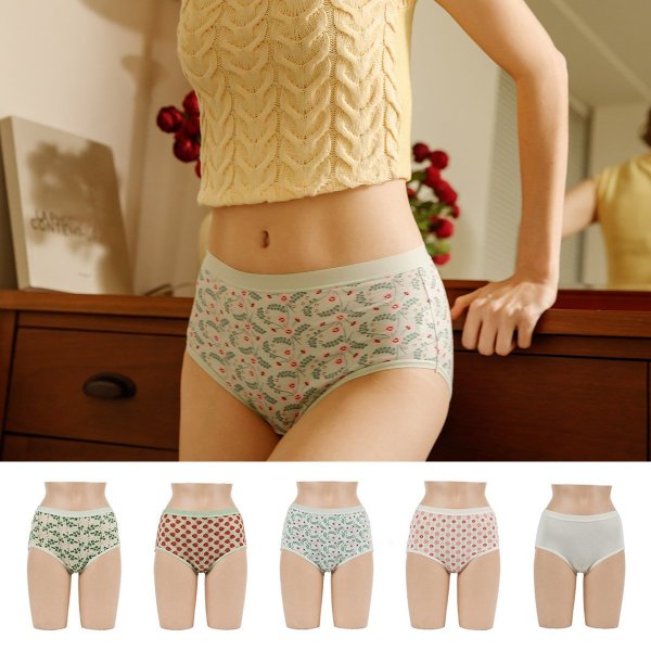 ラペア プレミアム 人絹 パンツ 5種 パッケージ グリーンムード LWHSS211