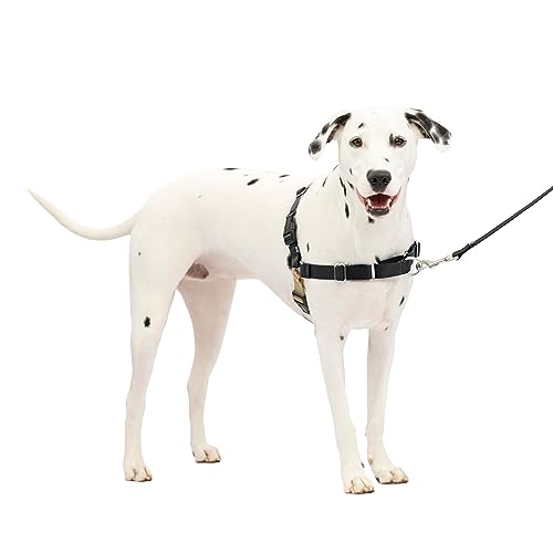 PetSafe イージーウォークハーネス (ML ブラック＆シルバー) 5,779円