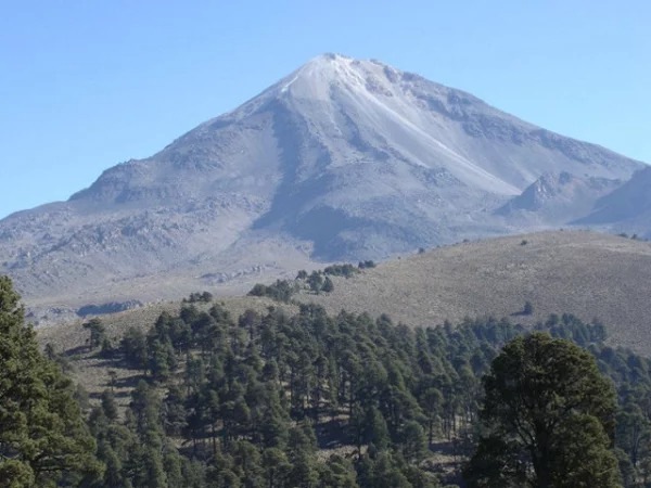 受注焙煎！2kg メキシコ チアパス カフェインレス [選べる焙煎度合い] コーヒー豆 大山珈琲 業務用 自家焙煎 卸