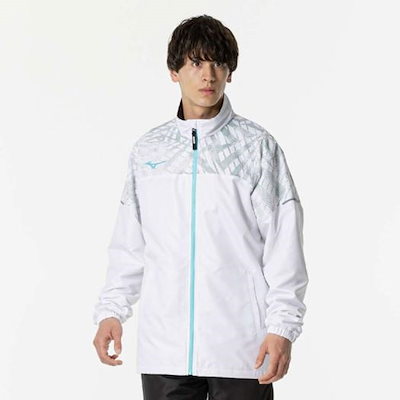 中国古美術・純手描き白菜図三尺画芯・水墨彩色画・斉白石印款・宣紙