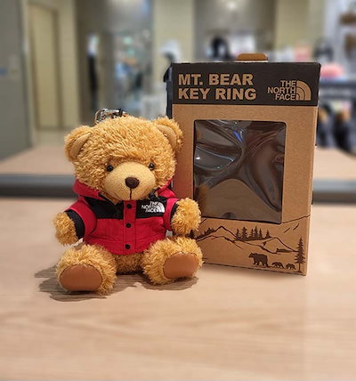 Qoo10] ザノースフェイス 【公式】韓国限定 THE NORTH F : おもちゃ・知育