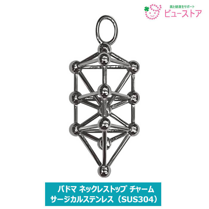 正規販売店 パドマ ネックレストップ チャーム サージカルステンレス SUS304 ユニカ 丸山修寛先生 3Dカバラ
