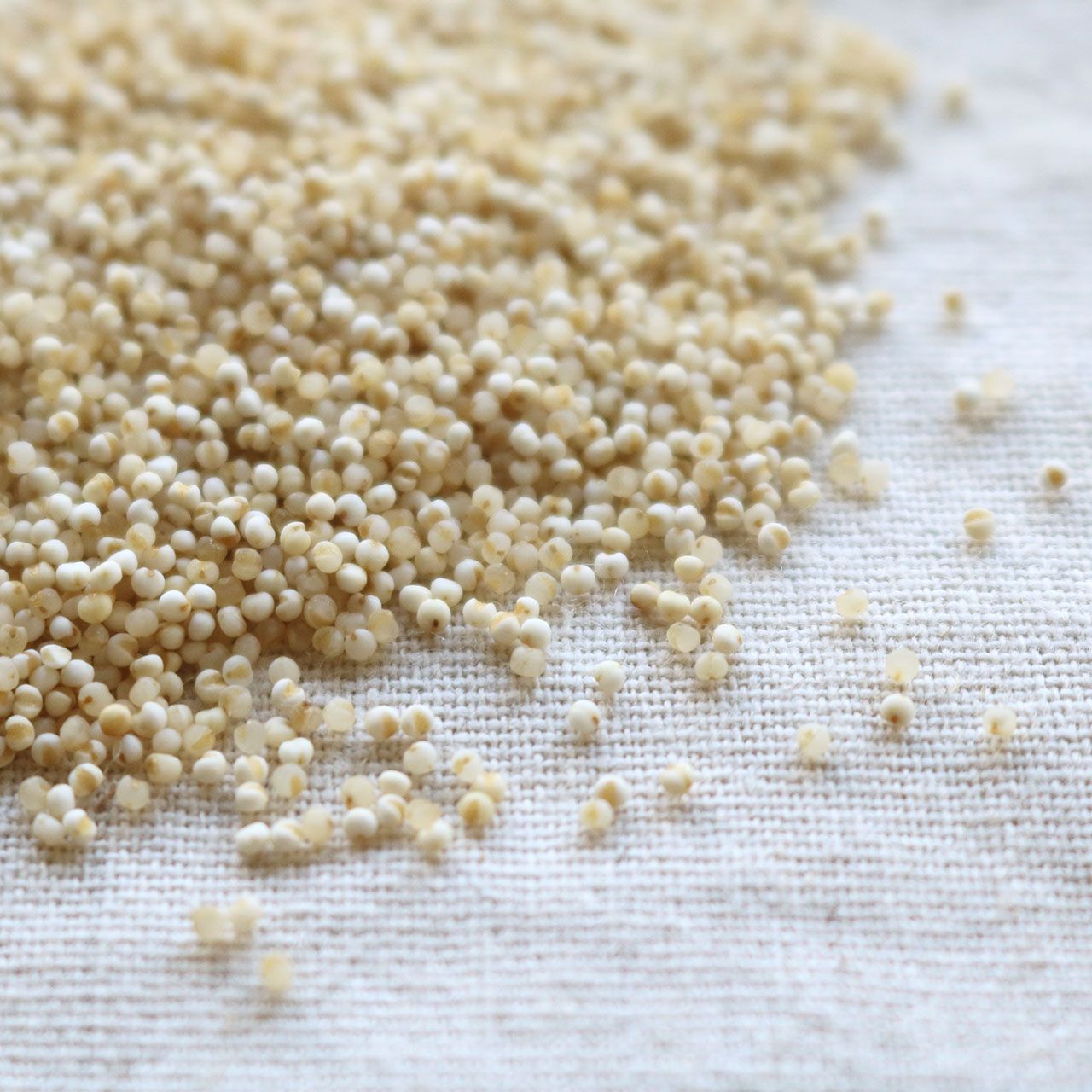 もちあわ 5kg 北海道産 2024年産 令和6年産 店舗発送 8,208円