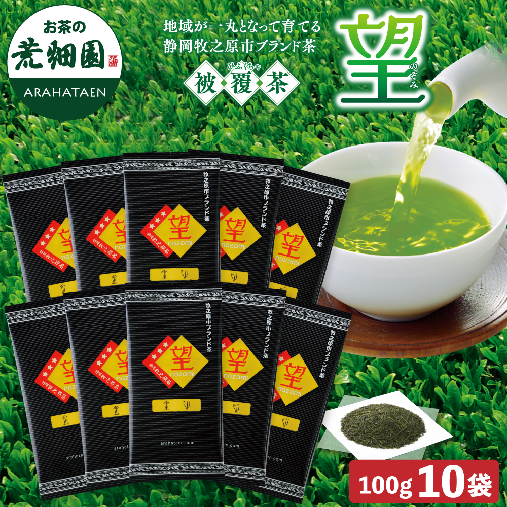 望 金印 100g 10袋セット 茶葉 お茶 お茶の葉 緑茶 深蒸し茶 静岡茶