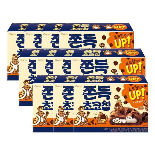 チョンウ もちもちチョコチップ 240g 11個