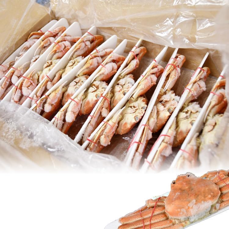 【在庫限り／お一人様2コまで】北海道産 オオ ズワイガニ 姿 9～11尾入り合計3kg前後 (1尾あたり約270～330g) オオズワイガニ カニ 蟹 かに パーティー【のし不可】