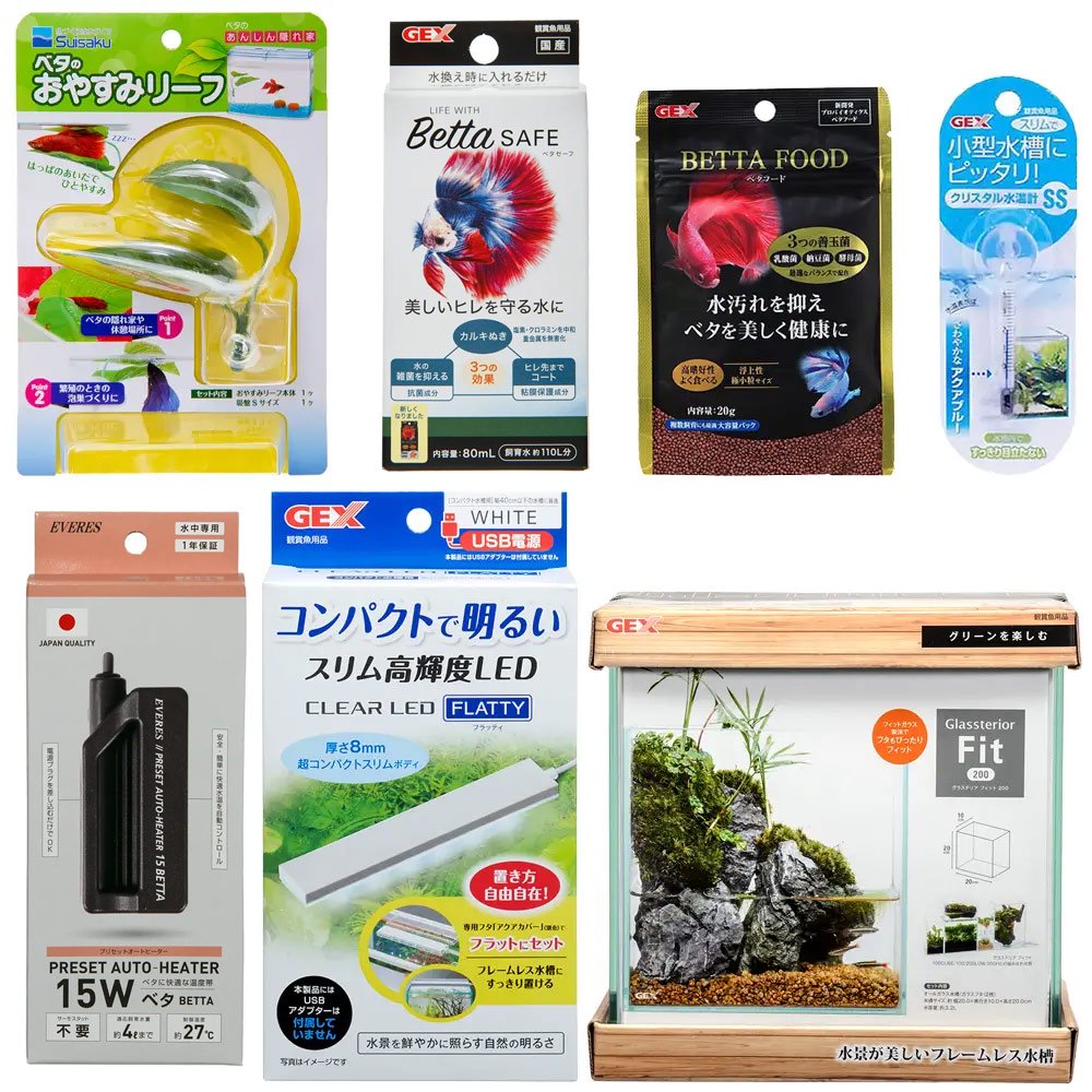 2024新発飼育セット ゆとりあるベタ水槽セット 20cm水槽ver お一人様5点限り CRC10―11―03―20―20100%保証