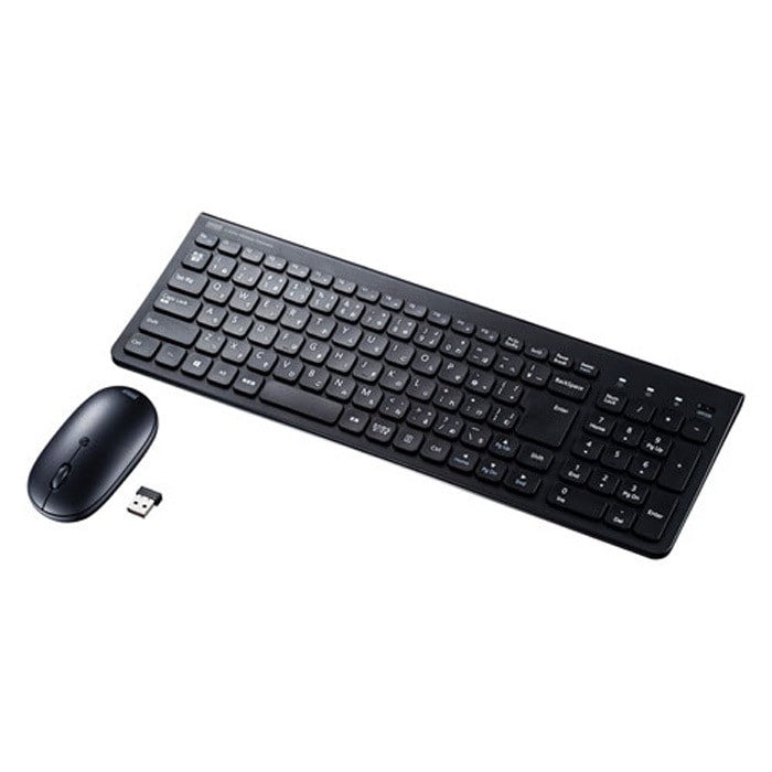 マウス付きワイヤレスキーボード テンキー付き SKB-WL31SETBK ブラック