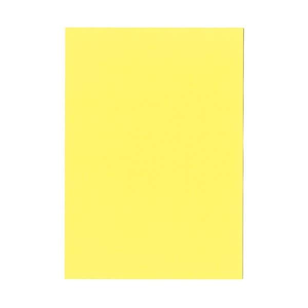 北越コーポレーション 紀州の色上質 A3 T目 超厚口 やまぶき 1箱（400枚：100枚x4冊）