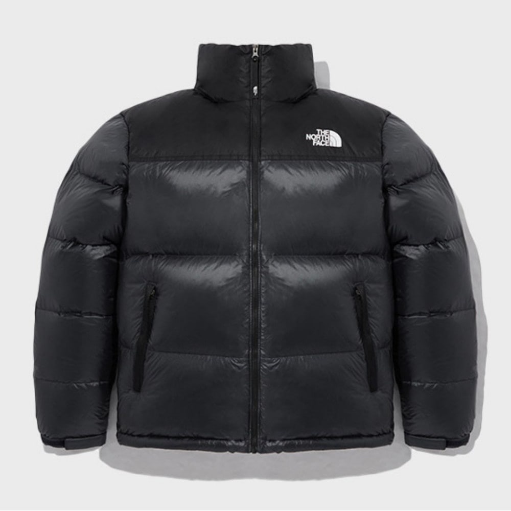 ノースフェイス 1996 ヌプシ エア ダウン ジャケット NJ1DQ50B_CHC