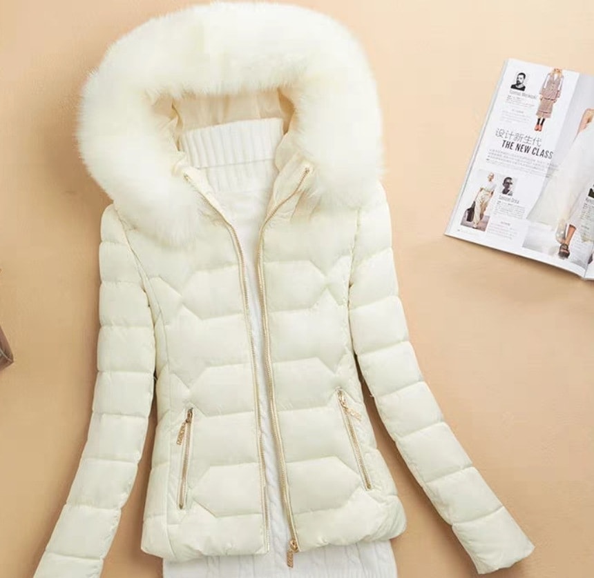 アウター コート 上着 ダウンコート ショート ショート丈 袖あり 長袖 襟なし 細身 ふわふわ フード付き ファスナー ポケット 前開き 厚手 かわいい 大人可愛い シンプル カジュアル 大人