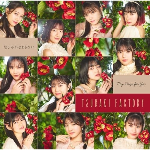 つばきファクトリー ／ My Days for You/悲しみがとまらない(初回生産限定盤SP)(Blu.. (CD) EPCE-7930 5,465円