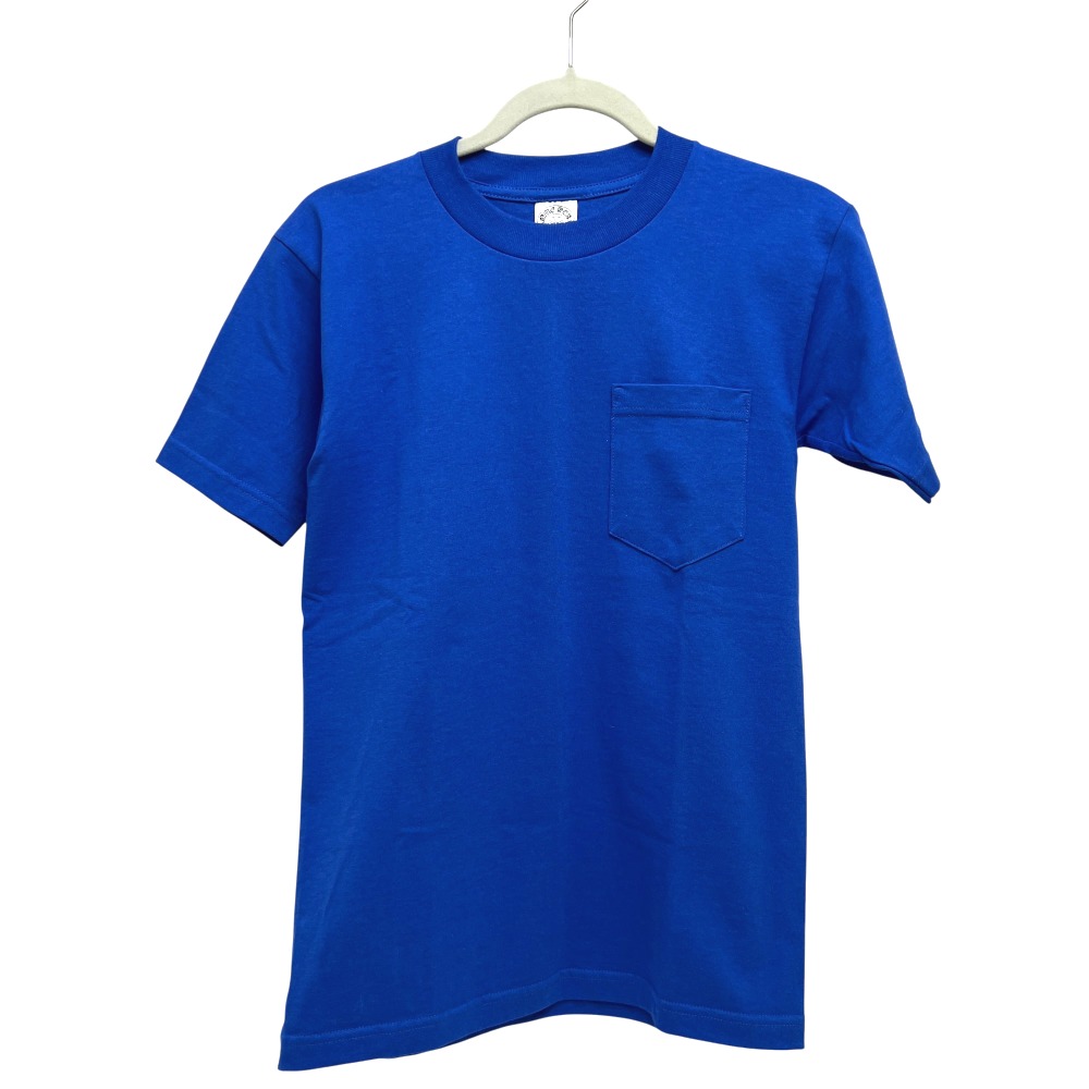 半袖Ｔシャツ TEE BROWN INTELLECTUAL GALLERY限定 半袖 Tシャツ アパレル トップス コットン ブルー