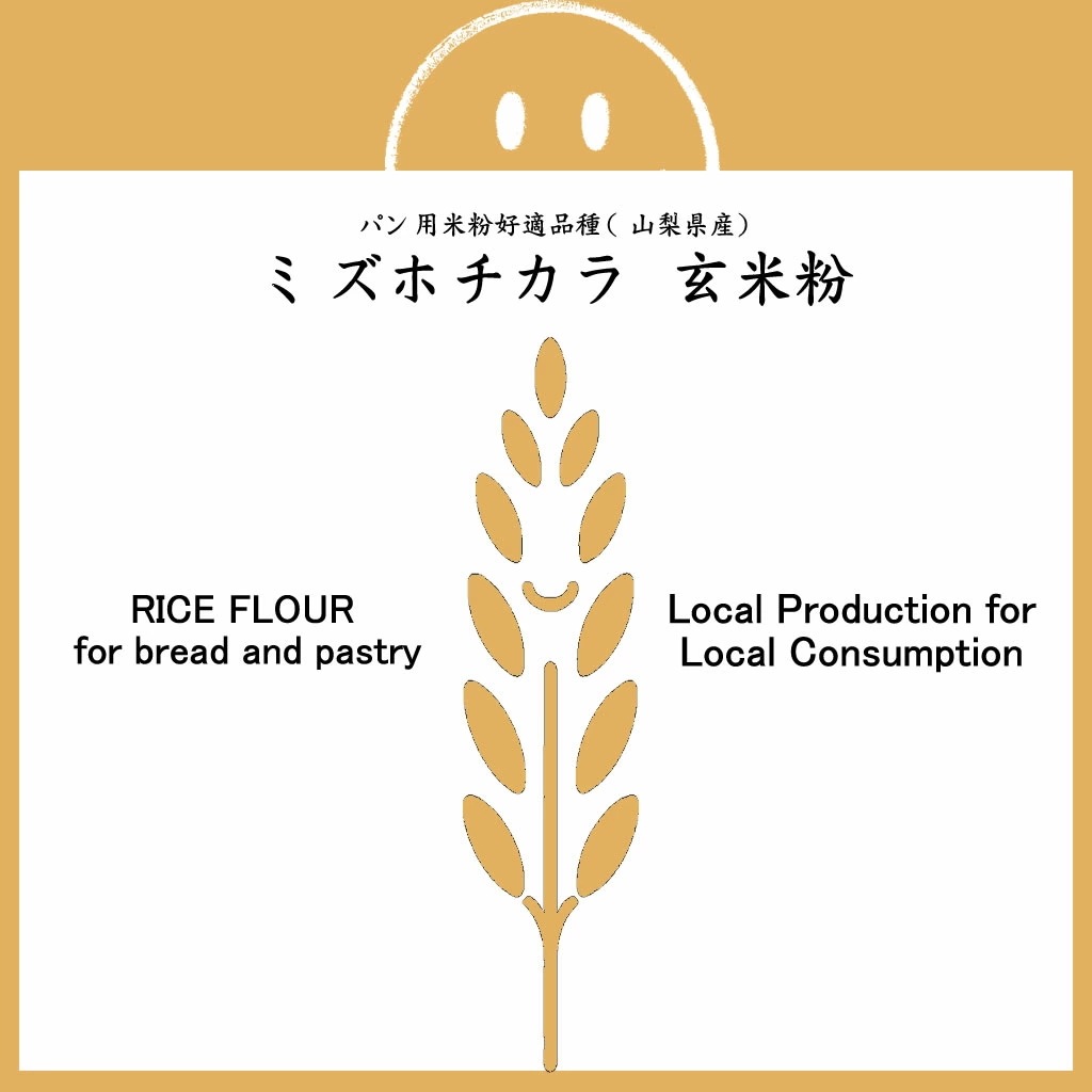 パン用 玄米粉 ミズホチカラ （山梨県産） 20kg (10kgx2)