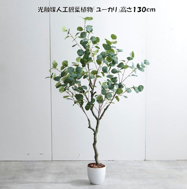 光触媒人工観葉植物ユーカリ 高さ130cm 造花 人工植物 フェイクグリーン（1272）