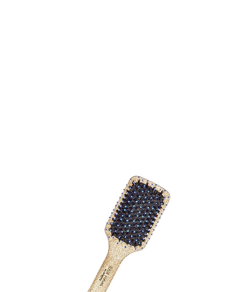 sisley（シスレー） ヘア リチュアル ザ ブラシ プチ ヘアブラシ
